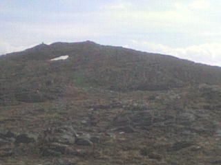 Freikollen 11.05.2011